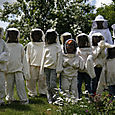 Atelier "apiculteur en herbe".
