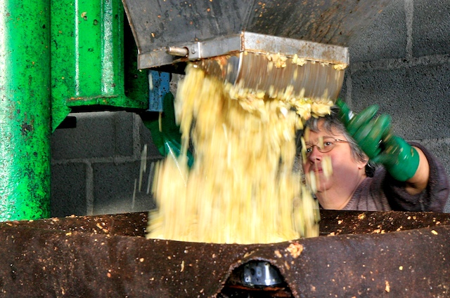 Cathy Olagnon et les pommes de la cité