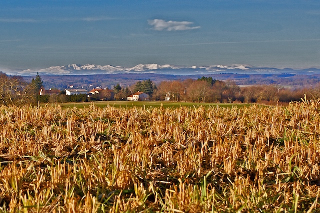 Le Sancy00155