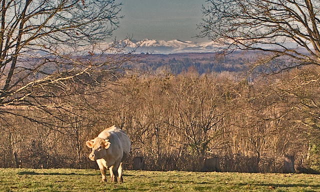 Le Sancy00154