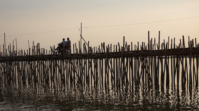 Le bambou bridge00270