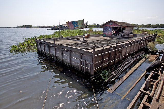 La cage aux crocodiles 00481