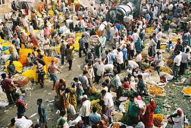 Le marché aux fleurs 00446