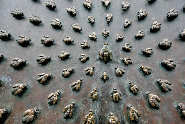 Les abeilles 00540