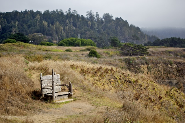 A Mendocino