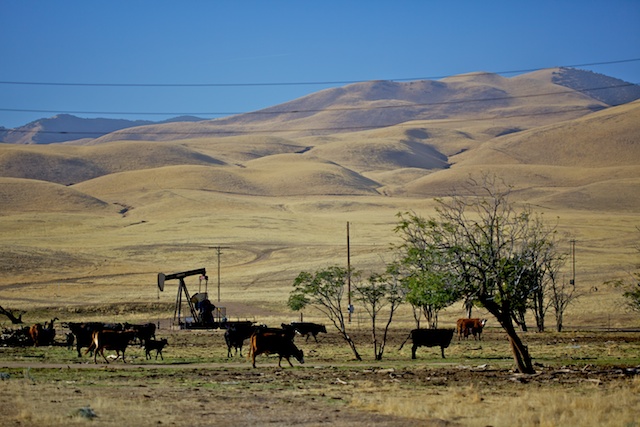 Les pétroleuses