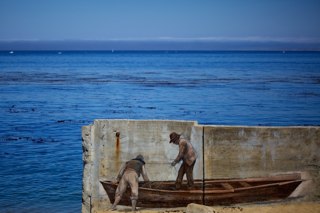 Le filet est lourd; la pêche fut bonne