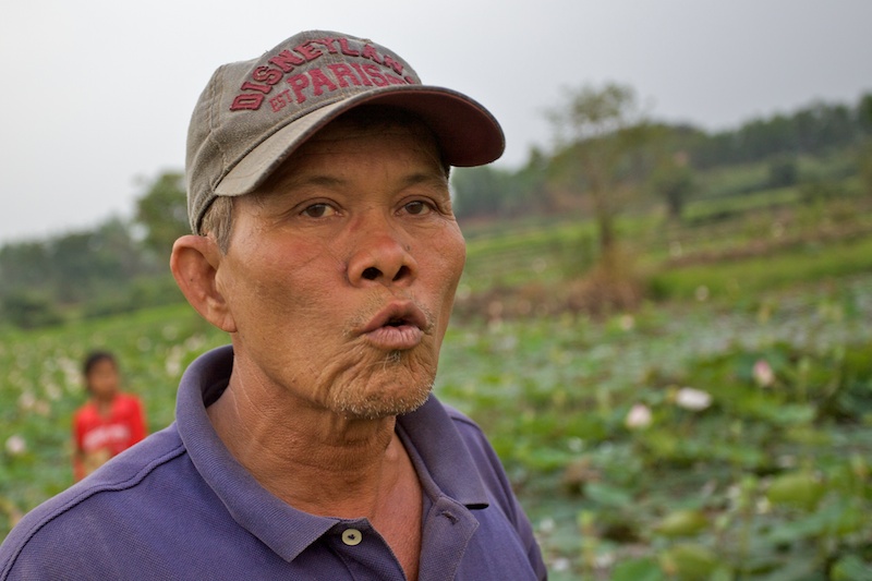 Au milieu des lotus