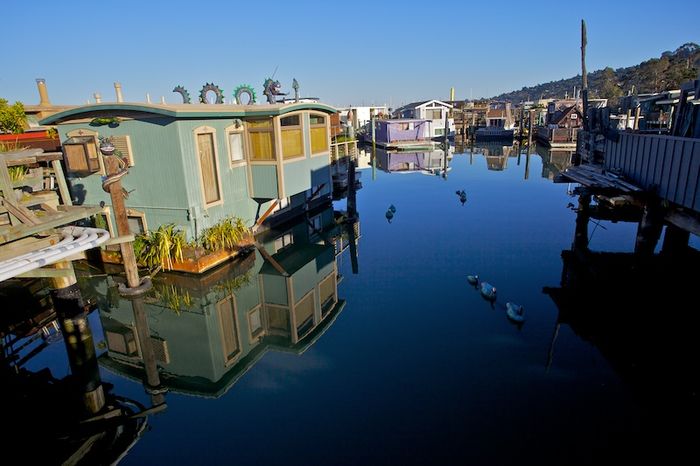 Le miroir des canards