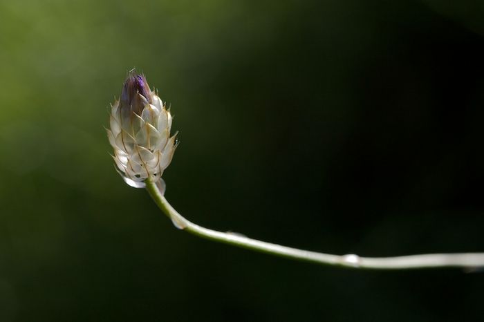 De l'ombre à la lumière