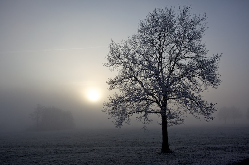 Viens, le soleil...