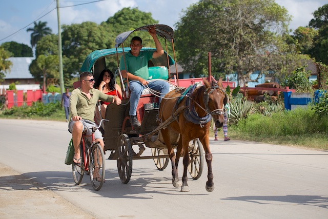 Transport en commun (1)