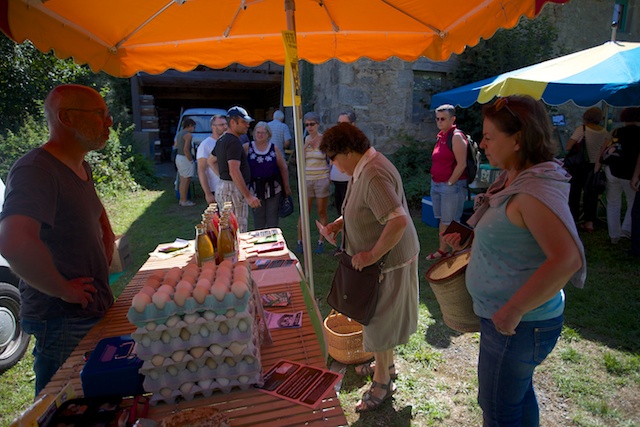 Combien pond la poule chaque jour ?