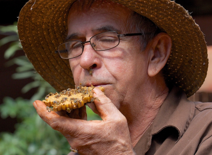 Quel est ce gâteau ?