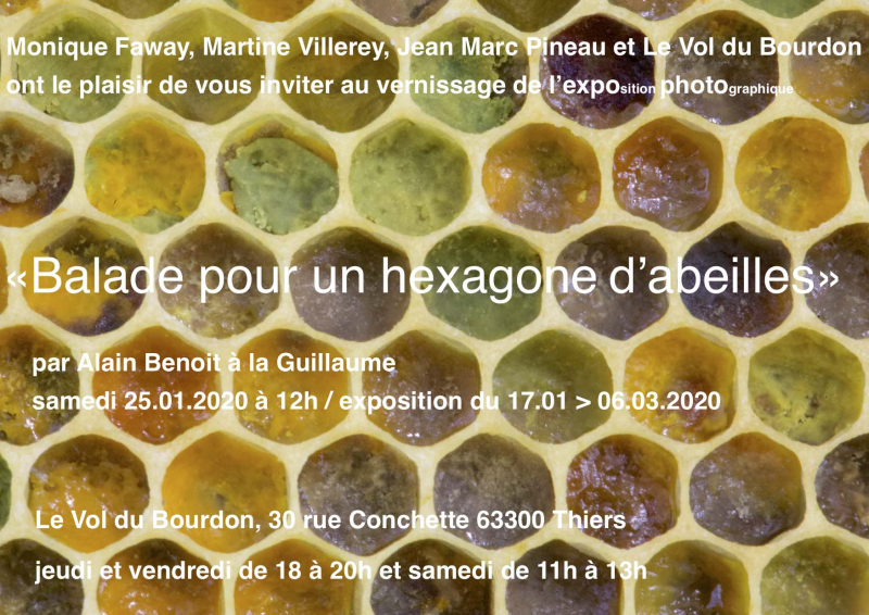 Vol du Bourdon  vernissage N°4  25:01:20 Balade pour un hexagone...