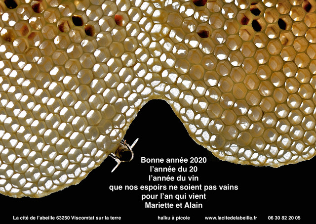 Carte de vœux 2020 N°3