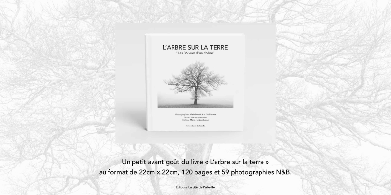 L'arbre sur la terre  la couverture 