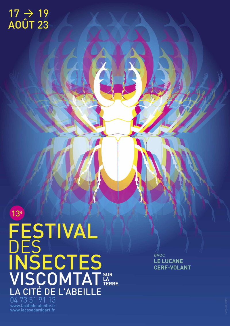 Festival des insectes  13ème  affiche  internet