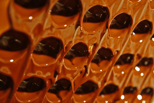 Les chocolats au miel " nid d'abeille".